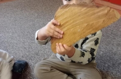 IMG20241125085920 
